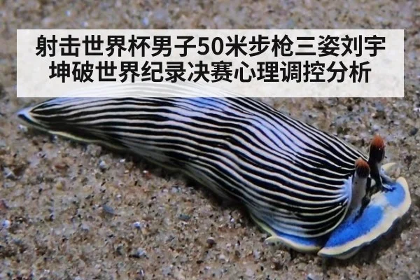 射击世界杯男子50米步枪三姿刘宇坤破世界纪录决赛心理调控分析