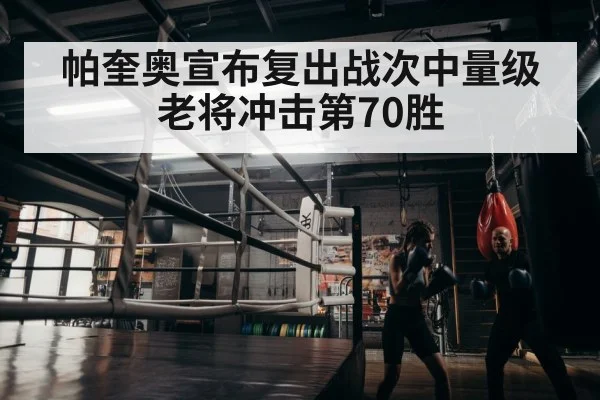 boxer training